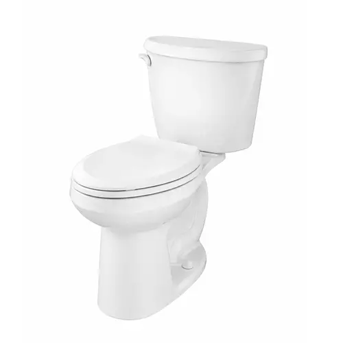 TAZA COLONY3 ADA ALARGADA 